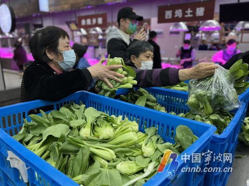 寧波五菜場(chǎng)設(shè)平價(jià)專供點(diǎn) 小青菜5元/公斤惠民銷售