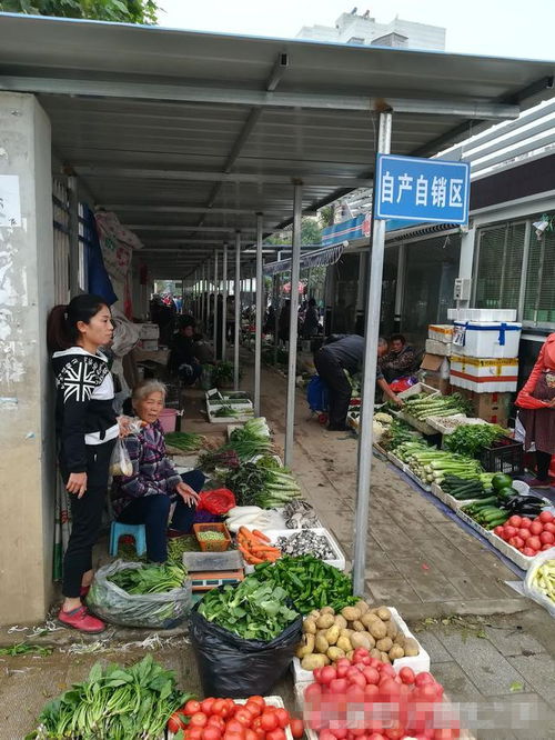 自產(chǎn)自銷區(qū) 為進(jìn)城農(nóng)民鋪就安心銷售路