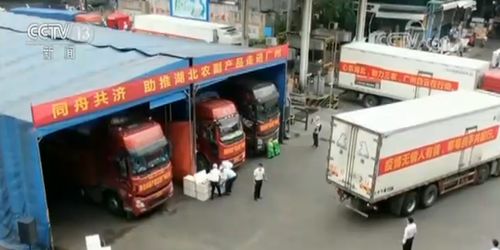 多措并舉拓銷路，湖北農(nóng)副產(chǎn)品產(chǎn)銷兩旺譜新篇